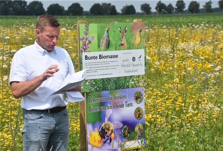 Das Foto zeigt Harald Hauschild am Rand eines Wildpflanzenackers. 