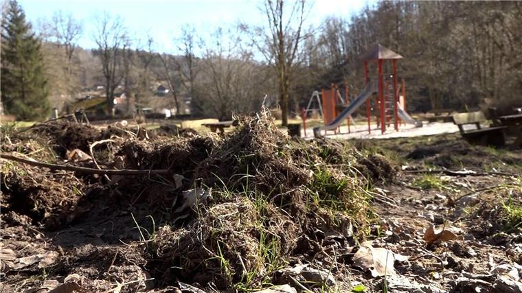 Wildschweine sorgen für Ärger im Harz Wildschweine haben einen Spielplatz in Osterode umgepflügt.