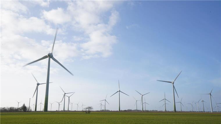 Windenergieanlagen stehen auf einem Feld.