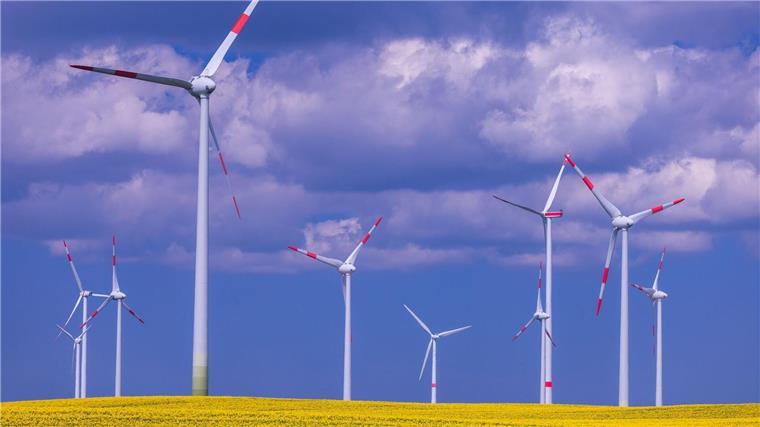 Landkreise: Maximal vier Prozent Fläche für Windkraft nutzen Windkraftanlagen drehen sich hinter einem blühenden Rapsfeld in einem Windpark.