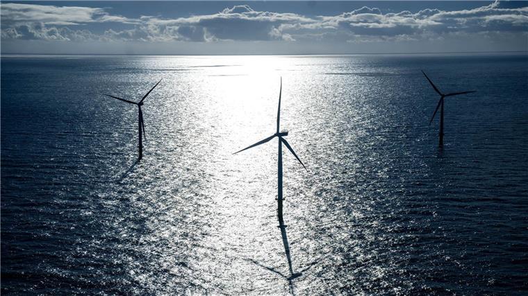 Studie: Windparks könnten chemische Stoffe ins Meer abgeben Windkraftanlagen stehen in der Nordsee. (Illustration)