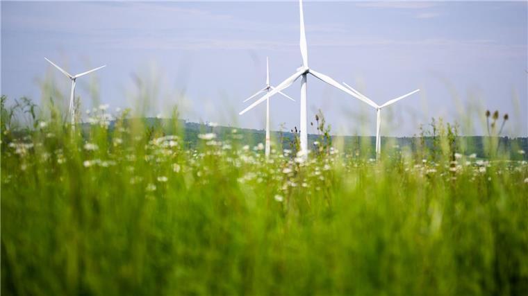 Umwelthilfe und IG Metall für Ausbau von Windenergieanlagen Windräder drehen sich auf einem Feld.