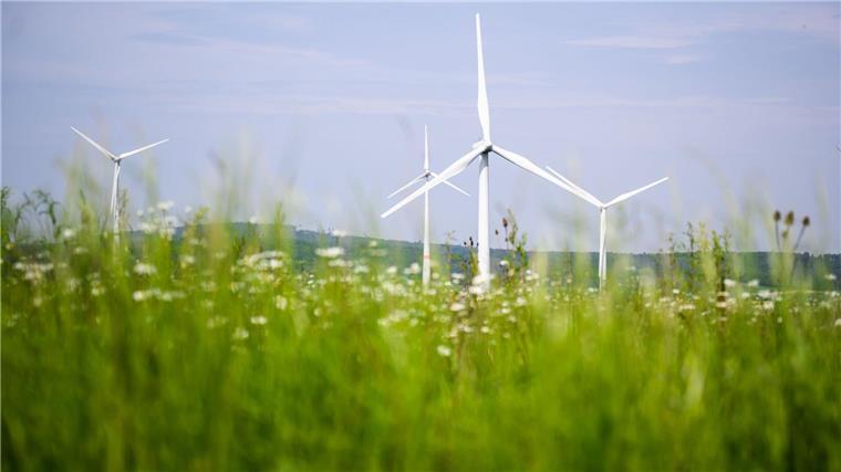 Niedersachsen beim Strom erstmals klimaneutral Windräder drehen sich auf einem Feld.