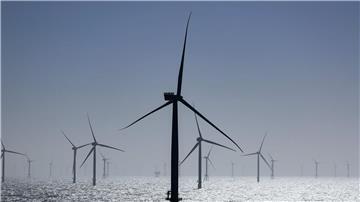 Windräder stehen in einem Windpark in der Nordsee. (Archivbild)