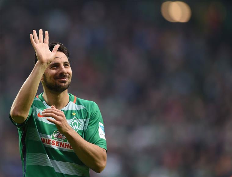 Der 1. FC Köln ist heiß auf Claudio Pizarro Winkt er bald am Rhein zu den Fans? Claudio Pizarro steht beim 1. FC Köln hoch im Kurs.