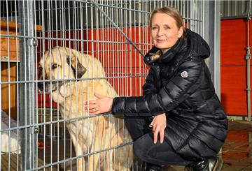 „Wir haben palettenweise Hundefutter erhalten“, sagt Tierheim-Leiterin Amelie Bensch über die Spendenbereitschaft in Corona-Zeiten. Kangal-Hündin „Maxi“ dürfte sich darüber sehr gefreut haben.