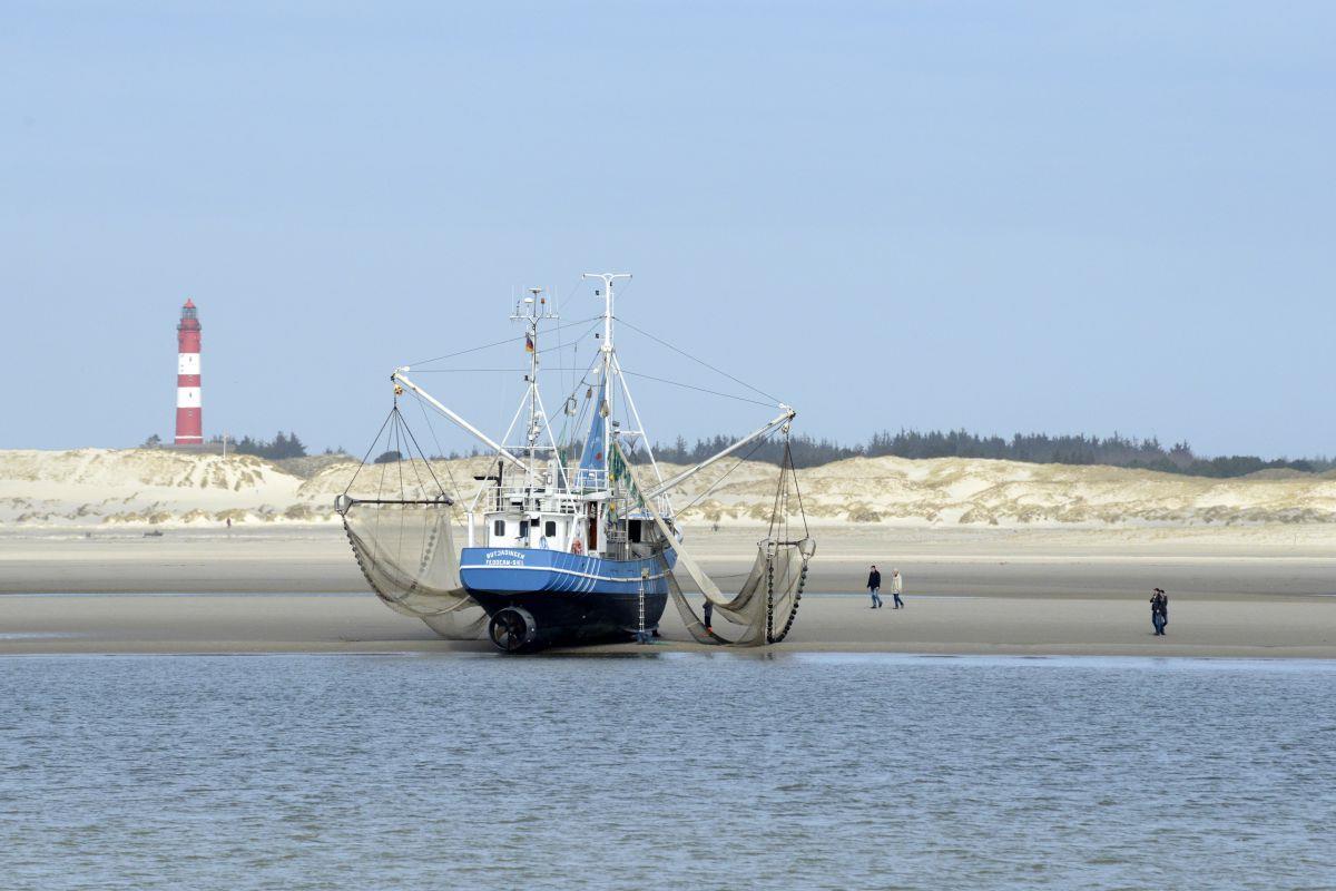Geplantes Fangverbot sorgt für Ärger bei Cuxländer Fischern Wird das Fischen draußen auf See verboten, fürchten die regionalen Fischer, dass die Kutter auf die verbleibenden Fanggebiete im Küstenbereich – hier auf der Insel Amrum – ausweichen.