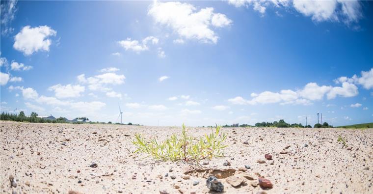Naturschützer würden auch gegen einen Bremerhavener Schwerlasthafen klagen Es geht weiter: Wo der Offshore-Terminals längst gebaut werden sollte, passiert seit fast drei Jahren nichts. Im Januar kommenden Jahres will nun das Verwaltungsgericht entscheiden.