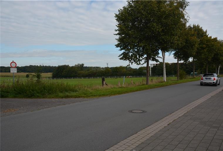 Wehden: Weg ist frei für den Lückenschluss Wo derzeit noch Tiere weiden, sollen schon bald sechs Häuser entstehen. Der Schiffdorfer Gemeinderat hat für das neue Baugebiet "Am Kirchweg" in Wehden gestimmt.