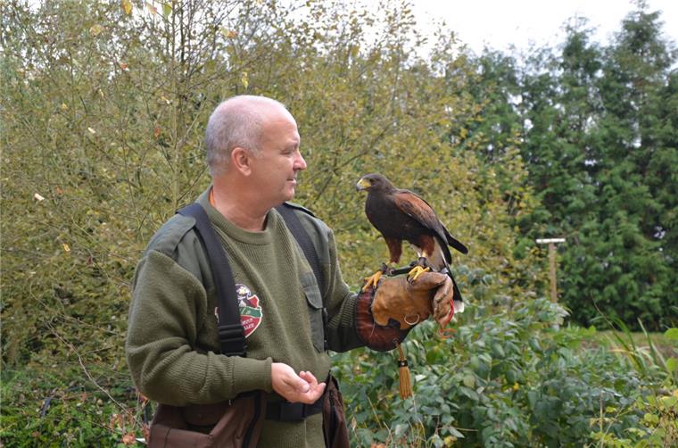 Mit einem Wüstenbussard auf der Jagd Wolfgang Müller und sein Wüstenbussard Raigan gehen mehrmals pro Woche auf die Jagd. Sie sind ein eingefleischtes Team.