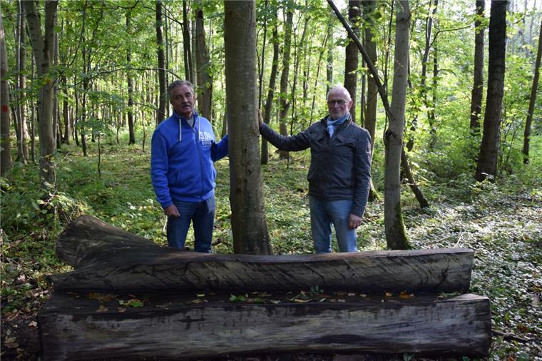 Nordenham: Auch der Stadtwald hat zu kämpfen Wolfgang Odenbach (links) und Jürgen Keup kümmern sich um den Stadtwald.