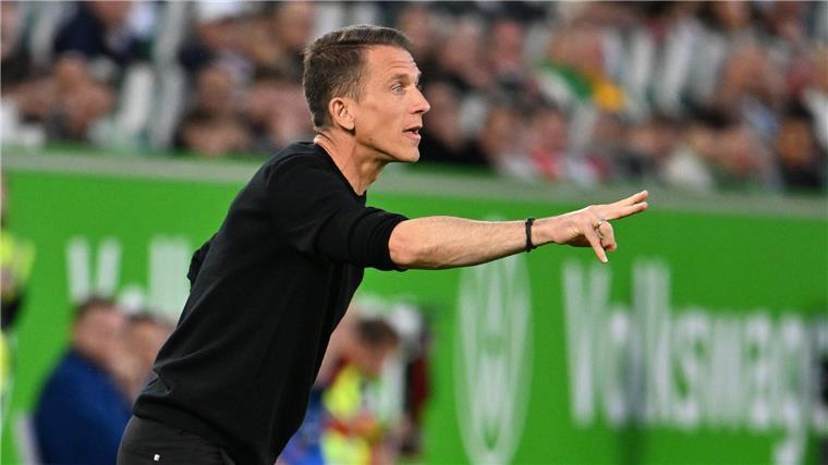 2:2 in Wolfsburg: Hoffenheim immer noch nicht gerettet Wolfsburgs Trainer Daniel Bauer bei seinem Bundesliga-Debüt.