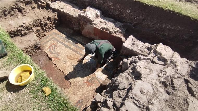Römisches Mosaik mit Delfinen in England entdeckt Wroxeter ist eine der am besten erhalten römischen Siedlungen in Großbritannien.