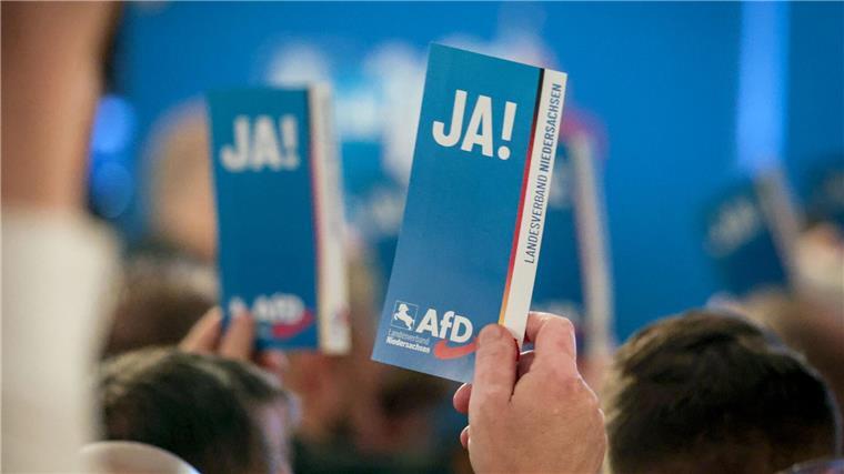 Brandes führt Niedersachsen-AfD in die Bundestagswahl Zahlreiche Delegierte erschienen zur Aufstellung der Landesliste.