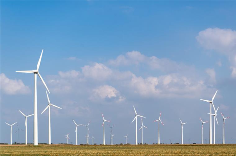 Zahlreiche Windräder stehen auf einem Feld nebeneinander.