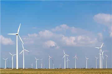 Zahlreiche Windräder stehen auf einem Feld nebeneinander.