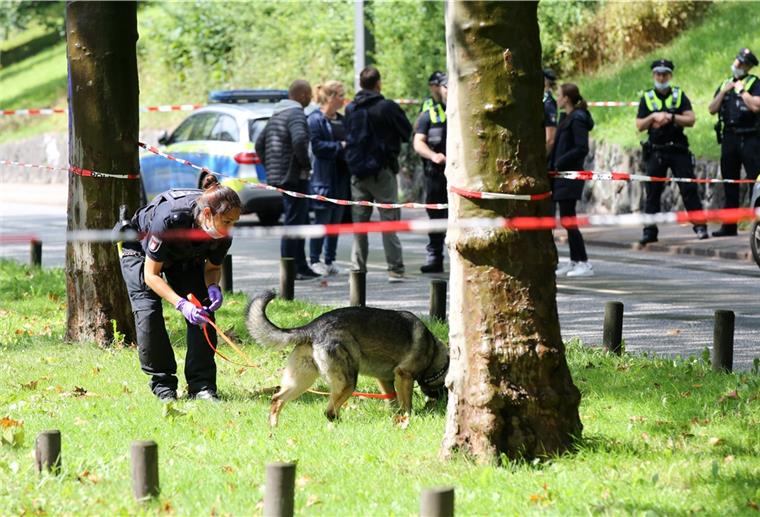 Ein Verletzter: Schüsse in der Hamburger Innenstadt Ein Polizeihund schnüffelt nach Spuren.