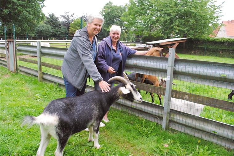 Tierasyl Heimatlos: Hilfe für 500 Schützlinge Ziegenbock "Max" lebt im Tierasyl Heimatlos und freut sich, genau wie seine Artgenosen auf der anderen Seite des Zaunes, über Streicheleinheiten von Tierheimleiterin Claudia Schröder (rechts) und der Vorsitzenden des Vereins Tierasyl Heimatlos, Susanne Puvogel.
