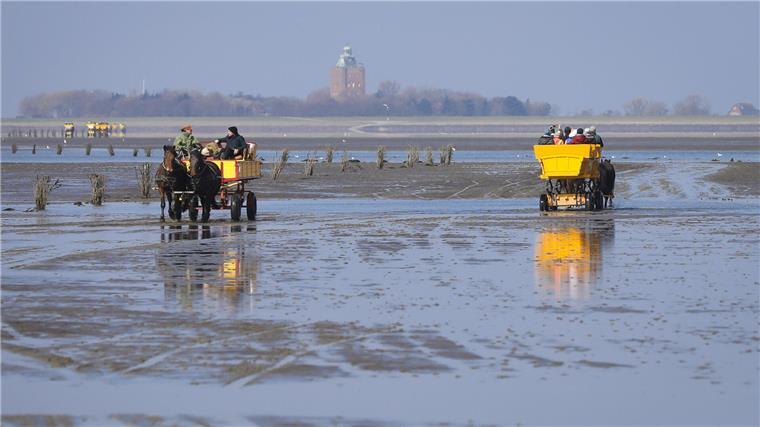 Ausflug nach Neuwerk: So funktioniert das bequem von Cuxhaven aus Ziel in Sicht: Am Horizont ist die Insel Neuerk zu erkennen.