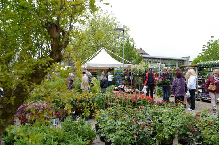 Bremerhaven: Verkaufsoffener Sonntag beim Bürgerbummel Ziemlich viel los am Wochenende in der Innenstadt, in der am Sonntag auch die Geschäfte geöffnet haben.