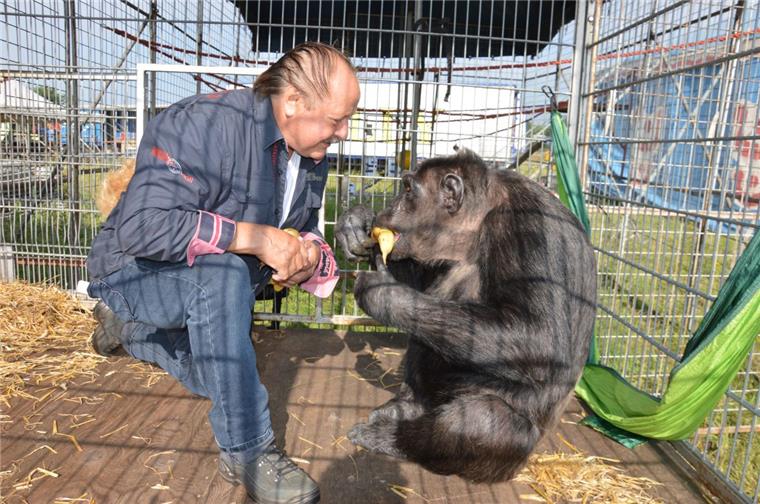Urteil in Lüneburg: Schimpanse Robby darf im Zirkus bleiben Zirkusdirektor Klaus Köhler darf den Schimpansen Robby weiterhin im Zirkus behalten.