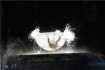 zuerst wird tief hineingetaucht und jede Menge Wasser verspritzt...