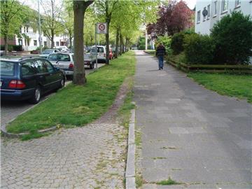 Zugewachsene Fahrradwege wie hier in der Goethestraße machen Radlern das Leben schwer.