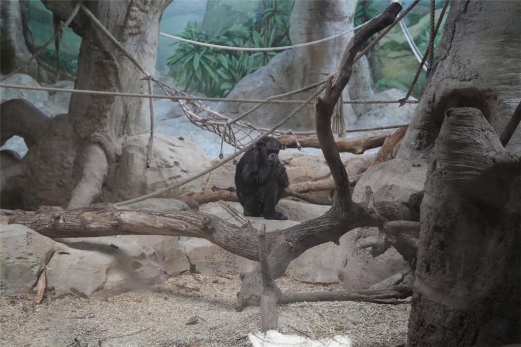 Zukunftstag: Impressionen aus dem Zoo am Meer - aufgenommen von den Nachwuchsrep...