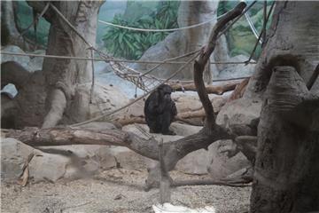 Zukunftstag: Impressionen aus dem Zoo am Meer - aufgenommen von den Nachwuchsrep...