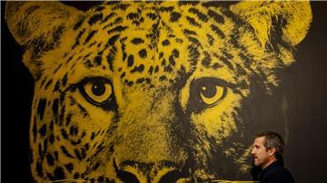 Zum 77. Mal findet in Locarno das Internationale Filmfestival statt.