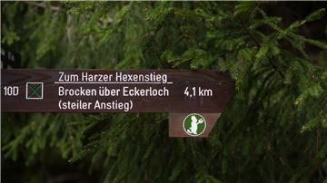 „Zum Harzer Hexenstieg“ steht nahe Schierke (Sachsen-Anhalt) auf einem Schild.