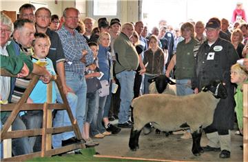 Zum letzten Mal treffen sich die Schafzüchter am 10. August in Rodenkirchen zu ihrer Absatzveranstaltung. Ab 2020 wird die Auktion, zu der Besucher aus dem In- und Ausland kamen, in Cloppenburg stattfinden.