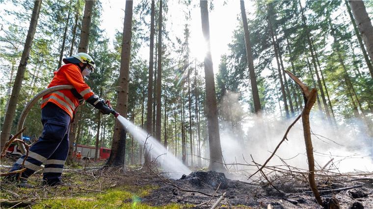 Waldbrandgefahr steigt zum Wochenende Zum Sommeranfang mit den erwarteten hohen Temperaturen steigt die Waldbrandgefahr in Niedersachsen. (Symbolbild)