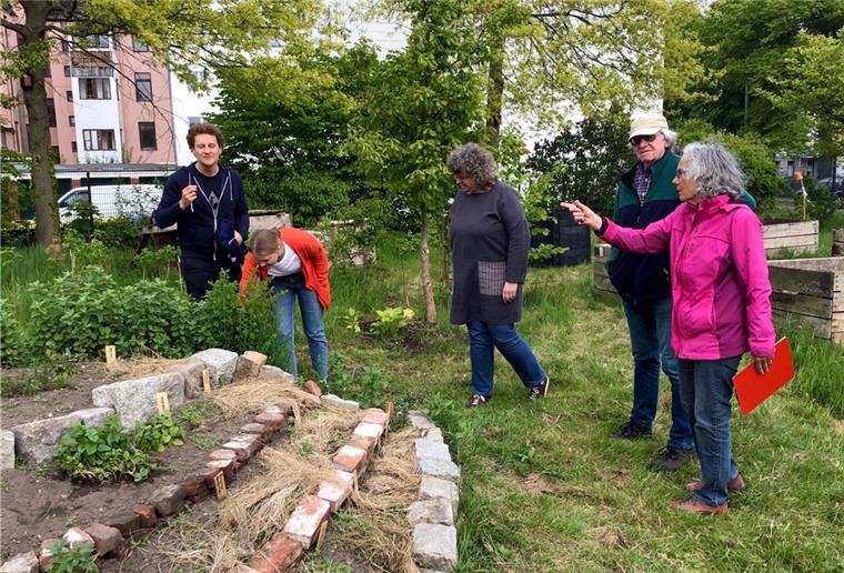 Zolli wird mit Schiffscontainer zum Öko-Cafe Zum Urban-Gardening-Projekt des Zolli-Vereins zählt auch die neu angelegte Kräuterspirale - ihre Köstlichkeiten würzen künftig die Salate und Snacks im Kiosk.