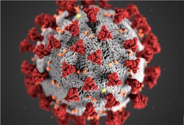 Zwei aktuelle Corona-Infektionen meldet das Gesundheitsamt des Landkreises.