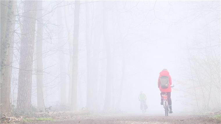 Nebel und milde Temperaturen am Dienstag in Niedersachsen Zwei Fahrradfahrer fahren bei dichtem Nebel durch den Stadtwald Eilenriede.