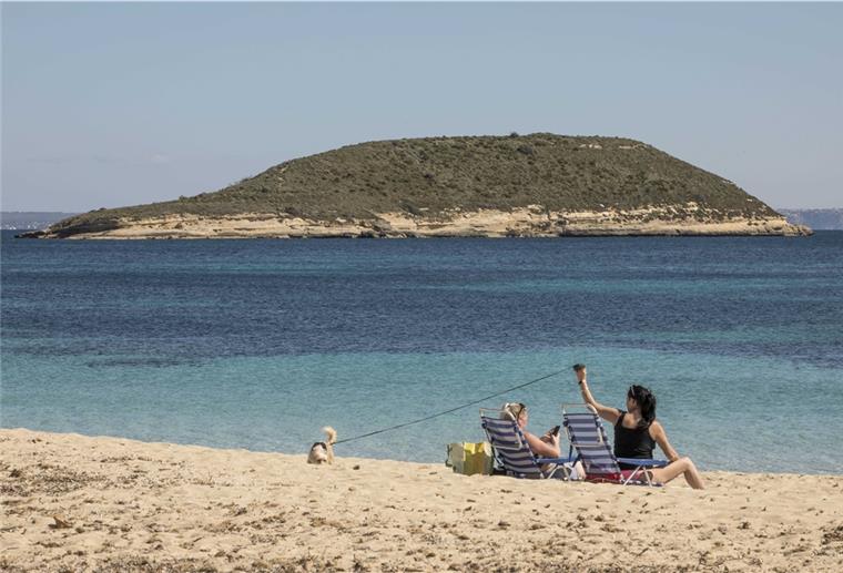 Bremerhaven & Cuxland: Kritik an Mallorca-Ungleichheit Zwei Frauen mit Hund liegen in Liegestühlen am Strand auf Mallorca.