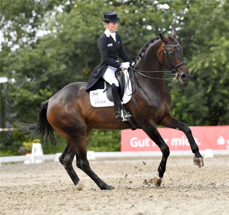 Elmloher Reitertage: Olympia-Star Langehanenberg erneut der Zuschauermagnet Zweiter Tag bei den Elmloher Reitertagen: Helen Langehanenberg mit Lovelight in der Dressur S***.