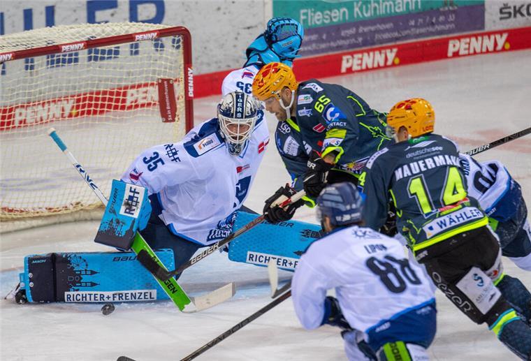 Zwischen den Fischtown Pinguins und Straubing dürfte es wieder einen heißen Kampf geben.