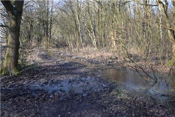 Zwischen Weg 86 und Weg 90 soll der Wanderweg in Surheide an zwei Stellen ausgeb...