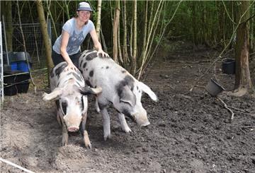 Zwuckel (links) und Arya sollten eigentlich zu Bio-Fleisch verarbeitet werden. Doch Tierschützerin Elke Gillich rettete die Tiere. Nun leben sie bereits seit sechs Jahren unter der Obhut der Mitglieder des Vereins Anima Libera.